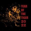 25% OFF 2022 Year of the Tiger Hoodie