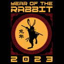 25% OFF 2023 Year Of The Rabbit Hoodie