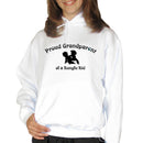 Proud Grandparent of a Kung Fu Kid - Hoodie 