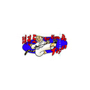 TKD Jumping Tiger - Other Garment